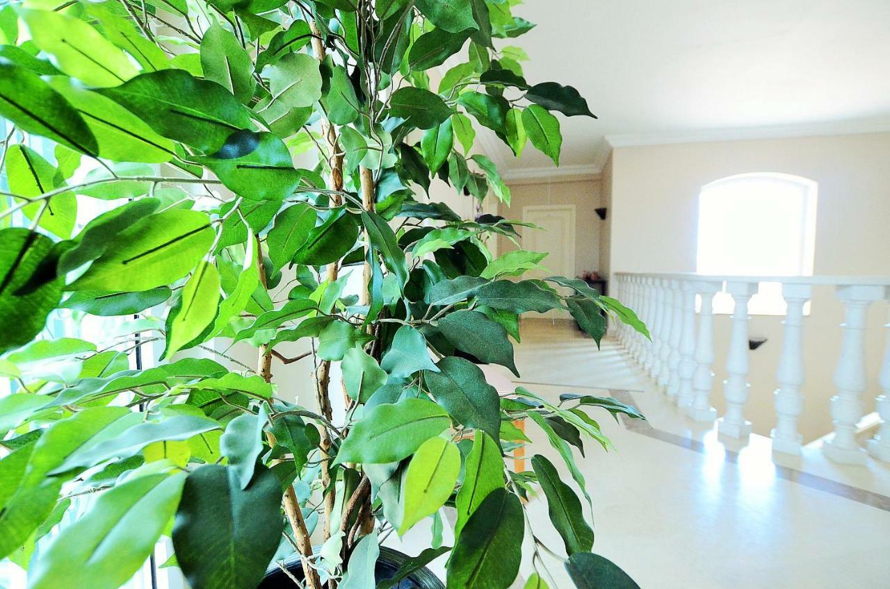 Suites & Beds Dp Albufeira Albufeira