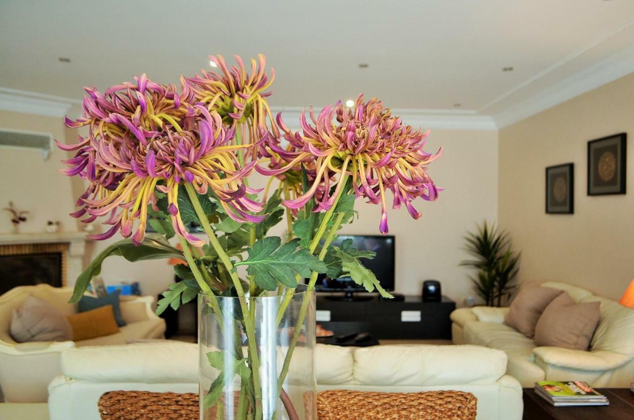 Suites & Beds Dp Albufeira